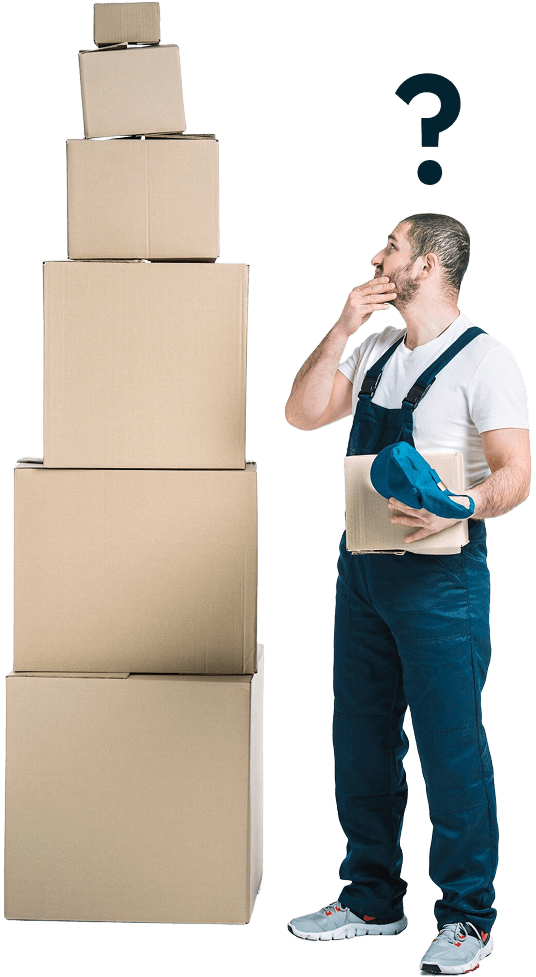 Logistics professional assisting with shipment questions